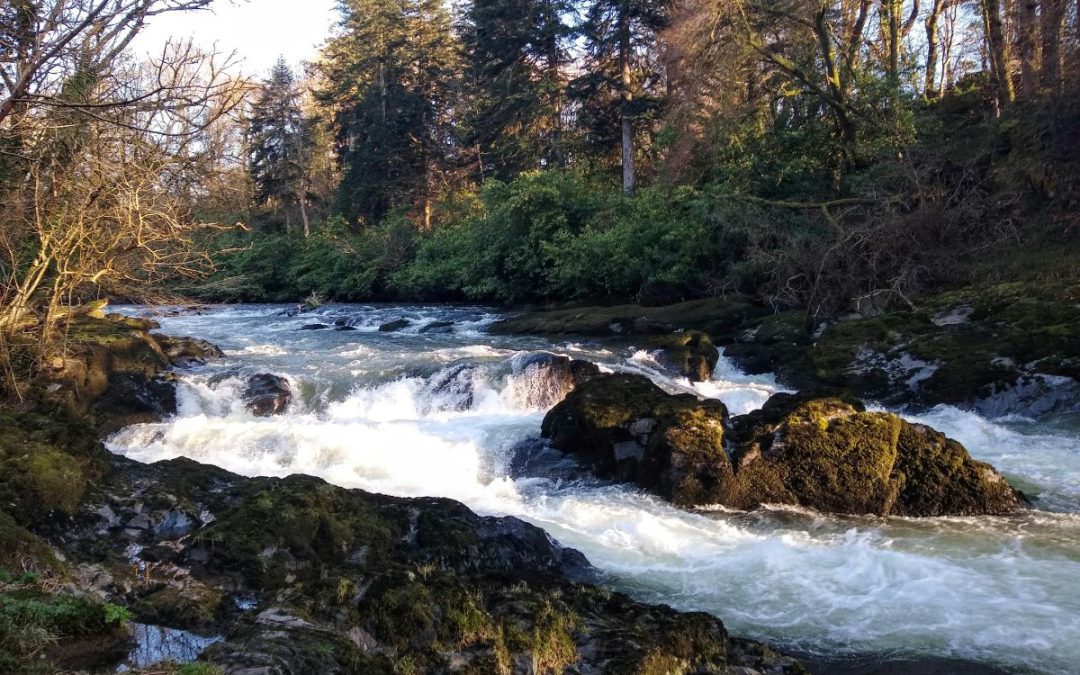 Stepping into the Impossible