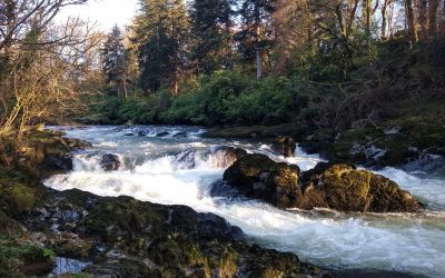 Stepping into the Impossible