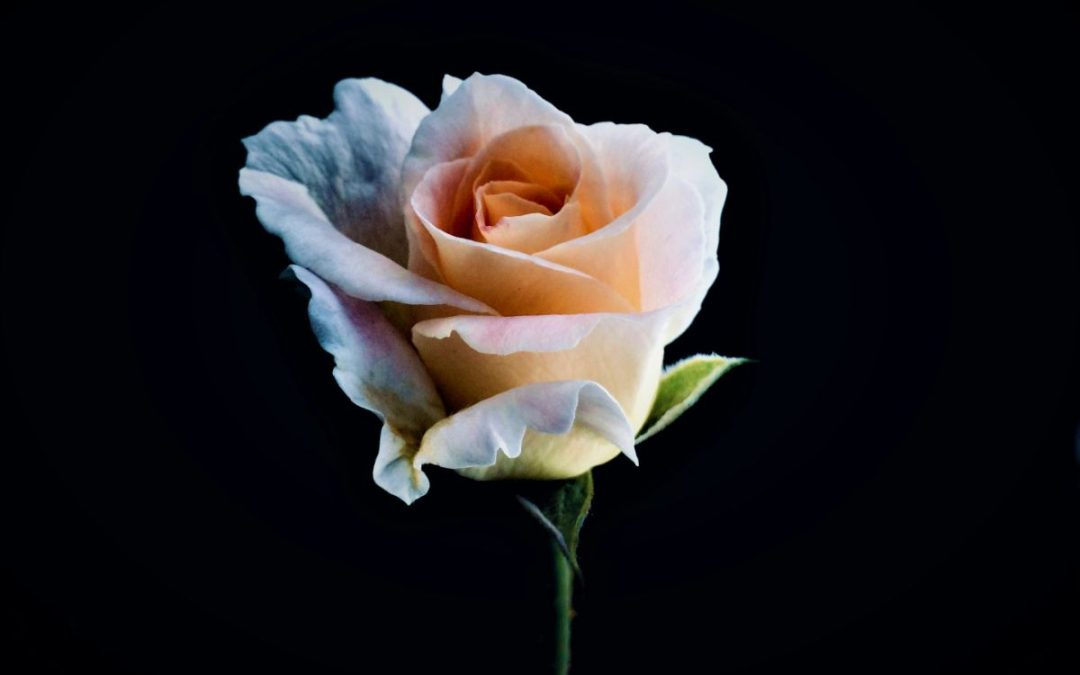 Does God Really Care If I Get a Sex Change? 