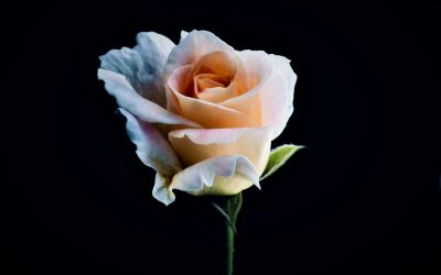 Does God Really Care If I Get a Sex Change? 