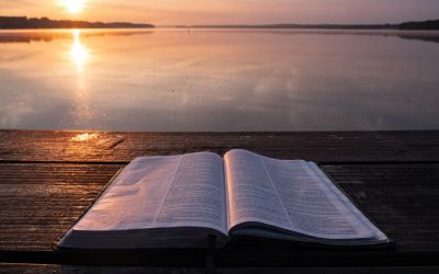 Finding Courage in Scripture