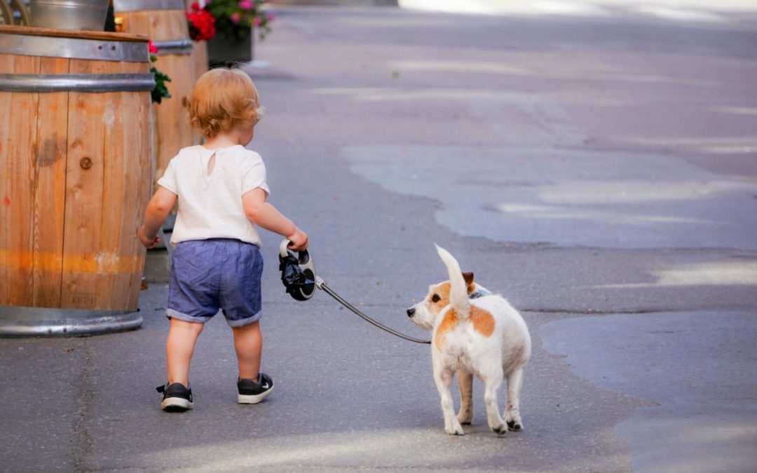 Preparing for Mission, Part 2