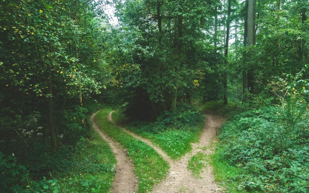 Rethinking Church Growth