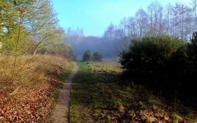 Eternal Love with God