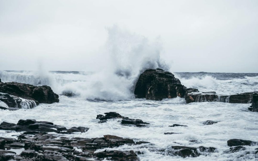 The Power of Transformational Leadership in Adaptive Change