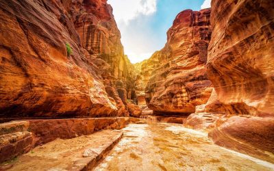 Discover Biblical Archeology Resources to Strengthen Faith