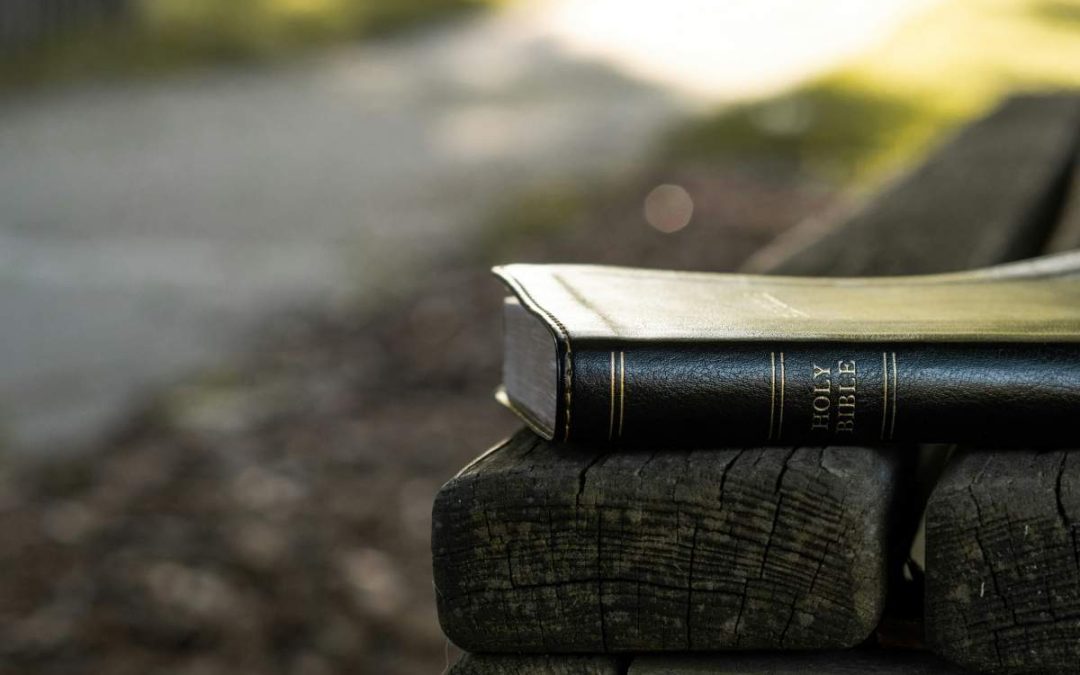 How to Read the Bible: Intent, Methodology, and Influences
