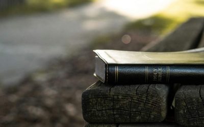 How to Read the Bible: Intent, Methodology, and Influences