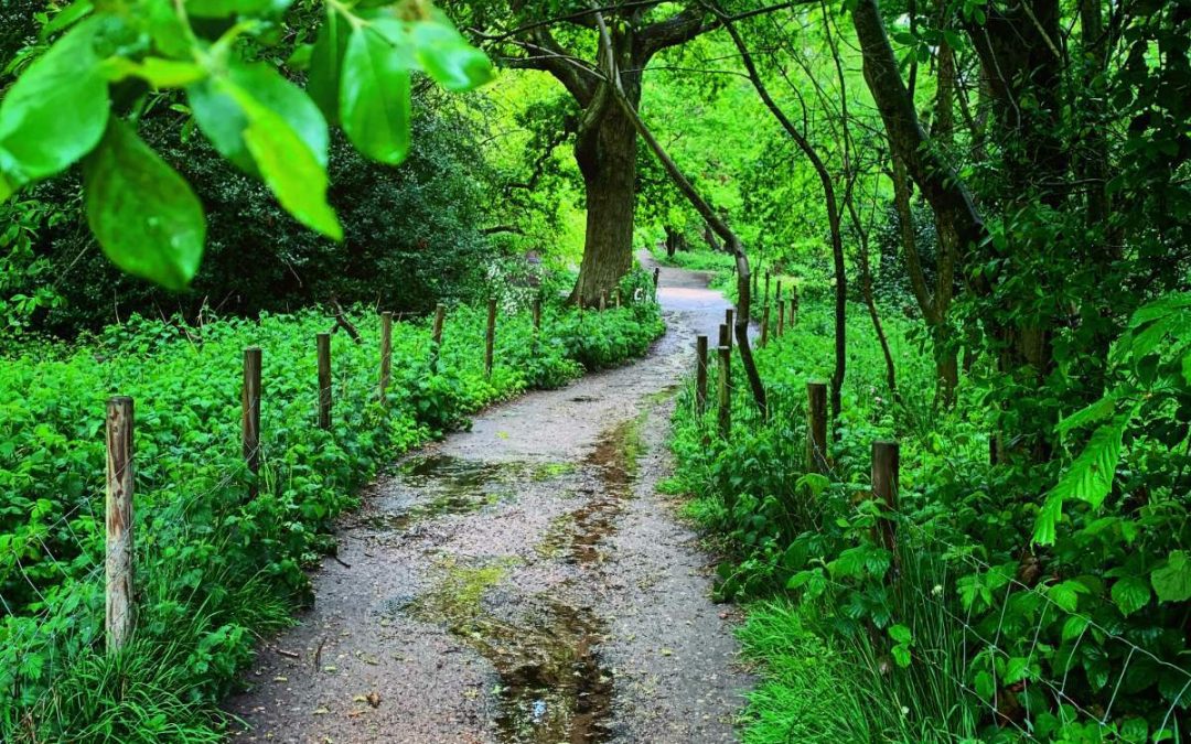 Finding God’s Glory in the Uncertainty of Life