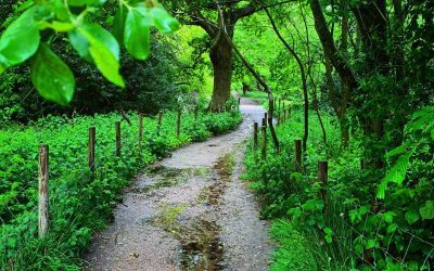 Finding God’s Glory in the Uncertainty of Life