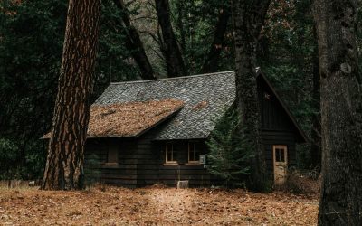 Reverse Engineering Your Life with God’s Wisdom