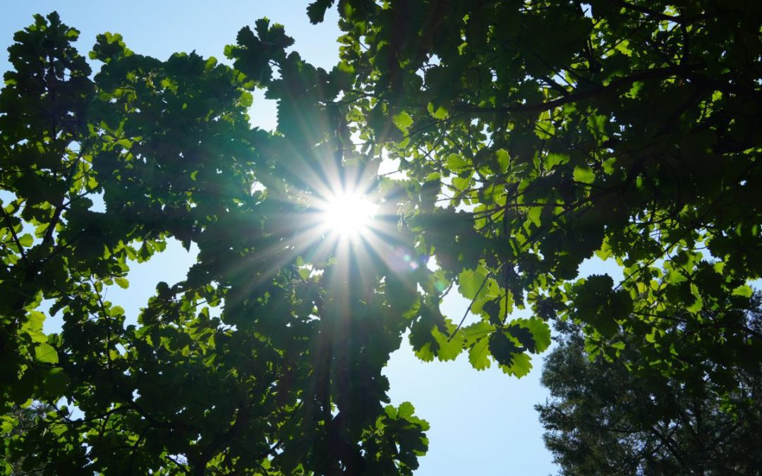 God’s Love Brings Hope in Pain