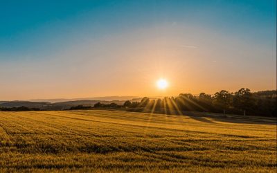 Leading with God’s Timing