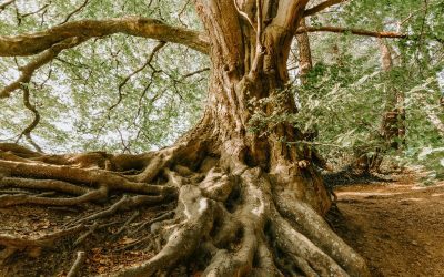 Creating a Lasting Pastoral Impact That Transcends Generations