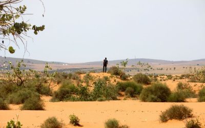 Distracted in the Desert: What the Wilderness Teaches Us