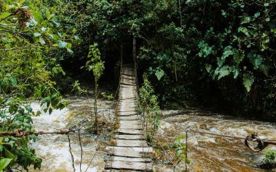 Embracing the End of Your Rope