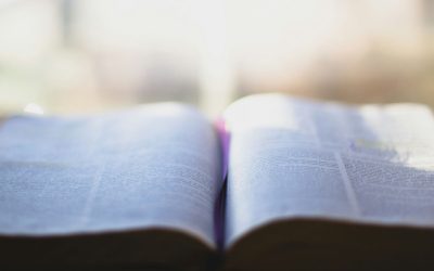 What Is the Bible?