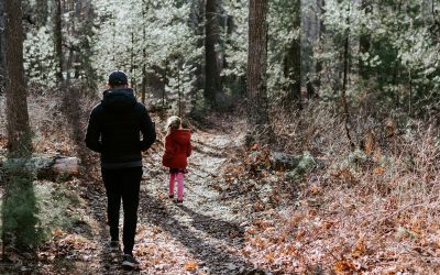 Lead Your Pack: Why Children Need Loving Authority