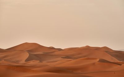 The Roundabout Way of God’s Leadership Formation