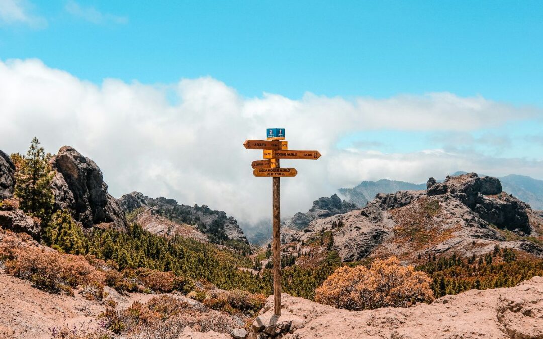 Ask Better Questions to Expand Your World