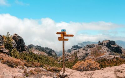 Ask Better Questions to Expand Your World