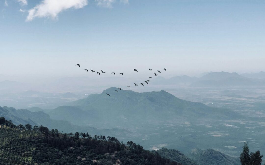 Understanding Church Unity in Christ Through Creation