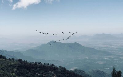 Understanding Church Unity in Christ Through Creation