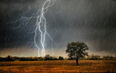 Healthy Roots for Faithful Leadership