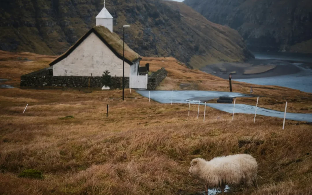 Overcoming Church Hurt with the Good Shepherd