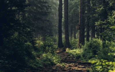 When Our Faith Is Sideways